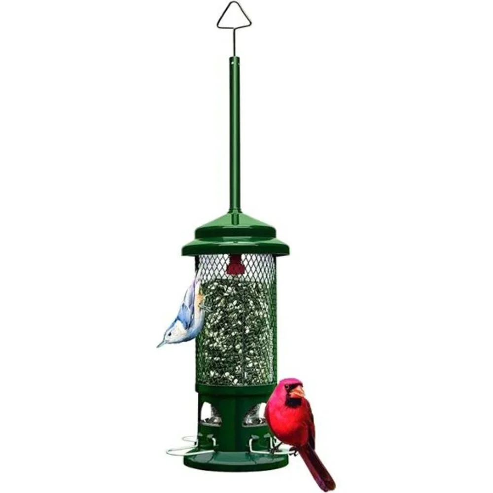 Squirrel Buster Standard Squirrel-proof Bird Feeder w/4 Metal Perches, 1.3-pound